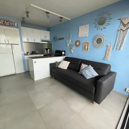 Apartment 1ere Ligne Vue Mer